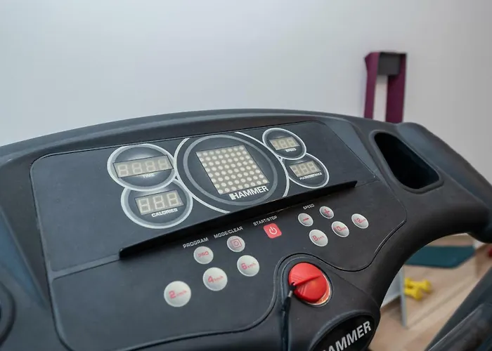 ヴィラ Divino Afflante *