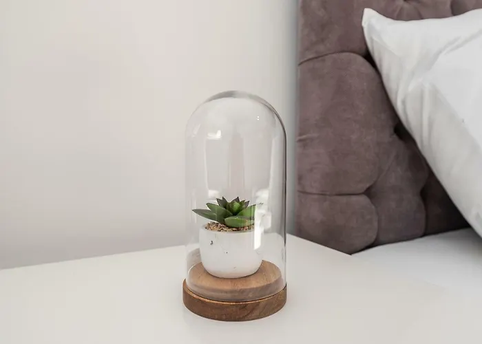 Divino Afflante ピロヴァッツ